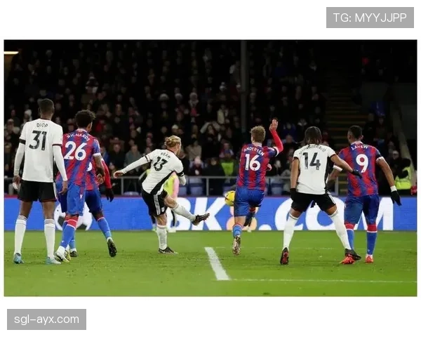 米特罗维奇禁区发威，助球队力克强敌