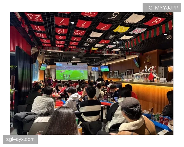 英超球迷文化：激情与团结打造独特观赛体验，引全球关注