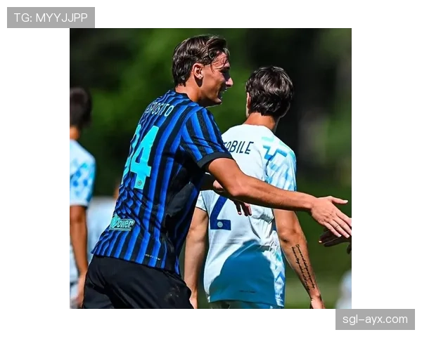 国际米兰崛起背后，阵容深度与战术适配矛盾逐步显现